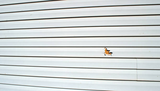 Trusted Bon Secour, AL Siding Installation & Repair Experts