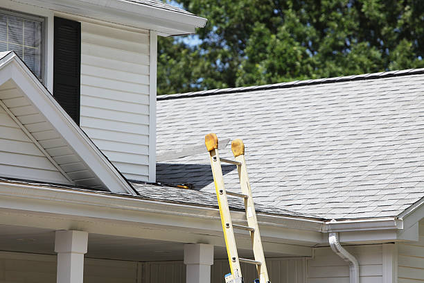 Best Residential Vinyl Siding Installation  in Bon Secour, AL