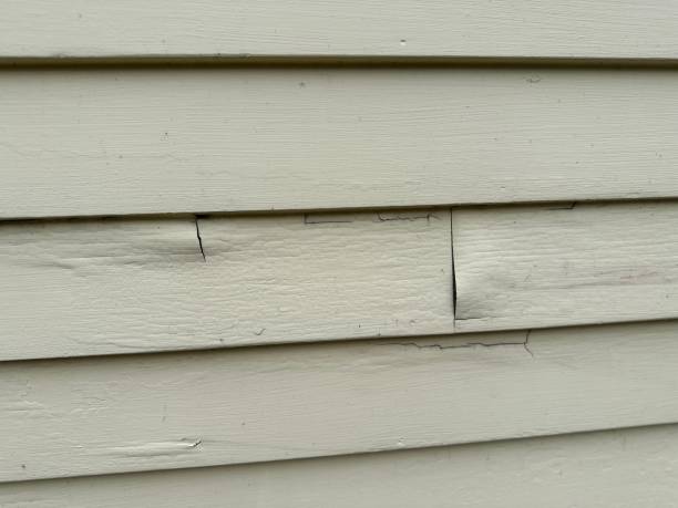 Best Weatherproofing and Sealing  in Bon Secour, AL